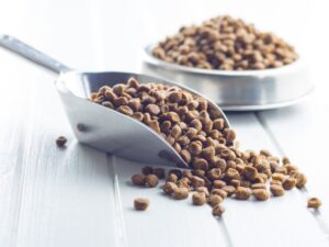 Mid America Pet Food: The Ultimate Guide to Quality Nutrition for Your Pets