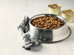 Raw Paws Pet Food: A Guide to Healthy and Natural Nutrition for Your Pets