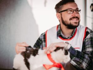 Orange County Animal Shelter: A Lifeline for Homeless Pets and Their Families
