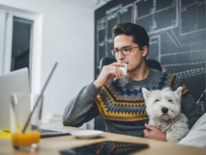Comprehensive Animal Eye Care in Richmond, VA: Ensuring Optimal Vision for Your Pet