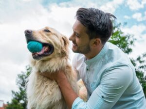 Explore the Comfort of Pet-Friendly Hotels: A Haven for You and Your Furry Friends