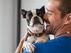 A Guide to Animal Emergency Hospitals: What You Need to Know