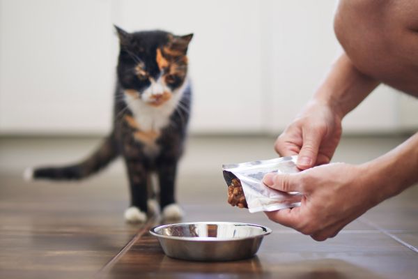 Feeding & nutrition