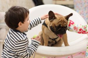 Best Pets for Toddlers: Safe & Easy Choices