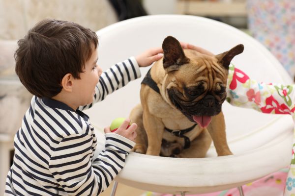 Best pets for toddlers
