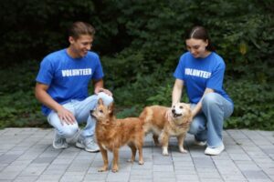 How to Organize Charity Events for Animal Shelters