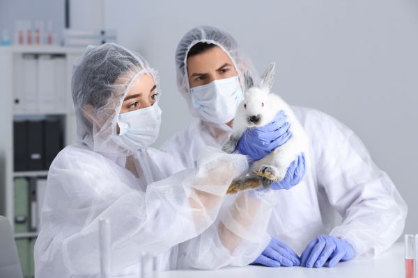 Alternatives to animal testing
