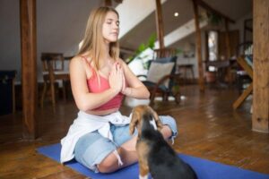 Beagle Exercise Needs: How Much Activity Do They Need?