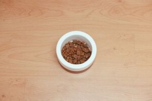 Grain-Free Dog Food: Pros, Cons, and What Vets Say