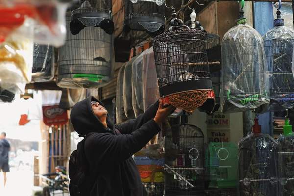 bird cage cleaning routine